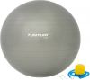 Tunturi Fitnessbal Gymball Swiss ball Ø 75 cm Inclusief pomp Zilver online kopen