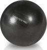 Gymstick Pro Core Ball 22 cm Met Online Trainingsvideo's online kopen