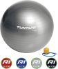 Tunturi Fitnessbal Gymball Swiss ball Ø 75 cm Inclusief pomp Zilver online kopen